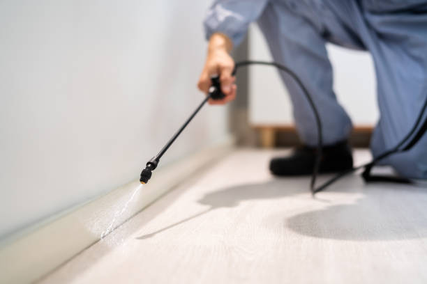 Licensed Fumigation Services service in Barberton, OH - Nex Pest Control