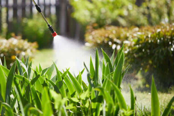 24/7 Emergency Fumigation Services experts in Barberton, OH